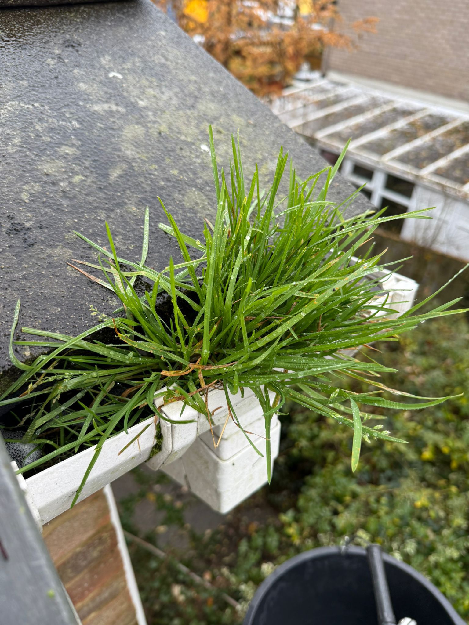 Blocked gutter downpipe in Blackwater